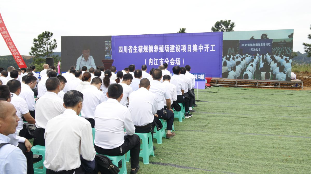 生猪养殖场 (1).jpg