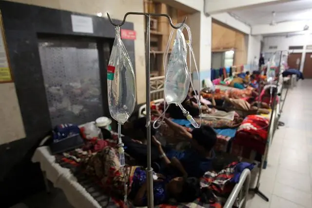 孟加拉国今年以来逾1500人死于登革热，确诊超30万例