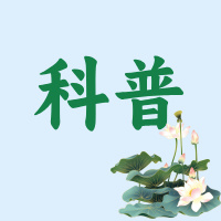 科普丨它 著名“皇帝菜”